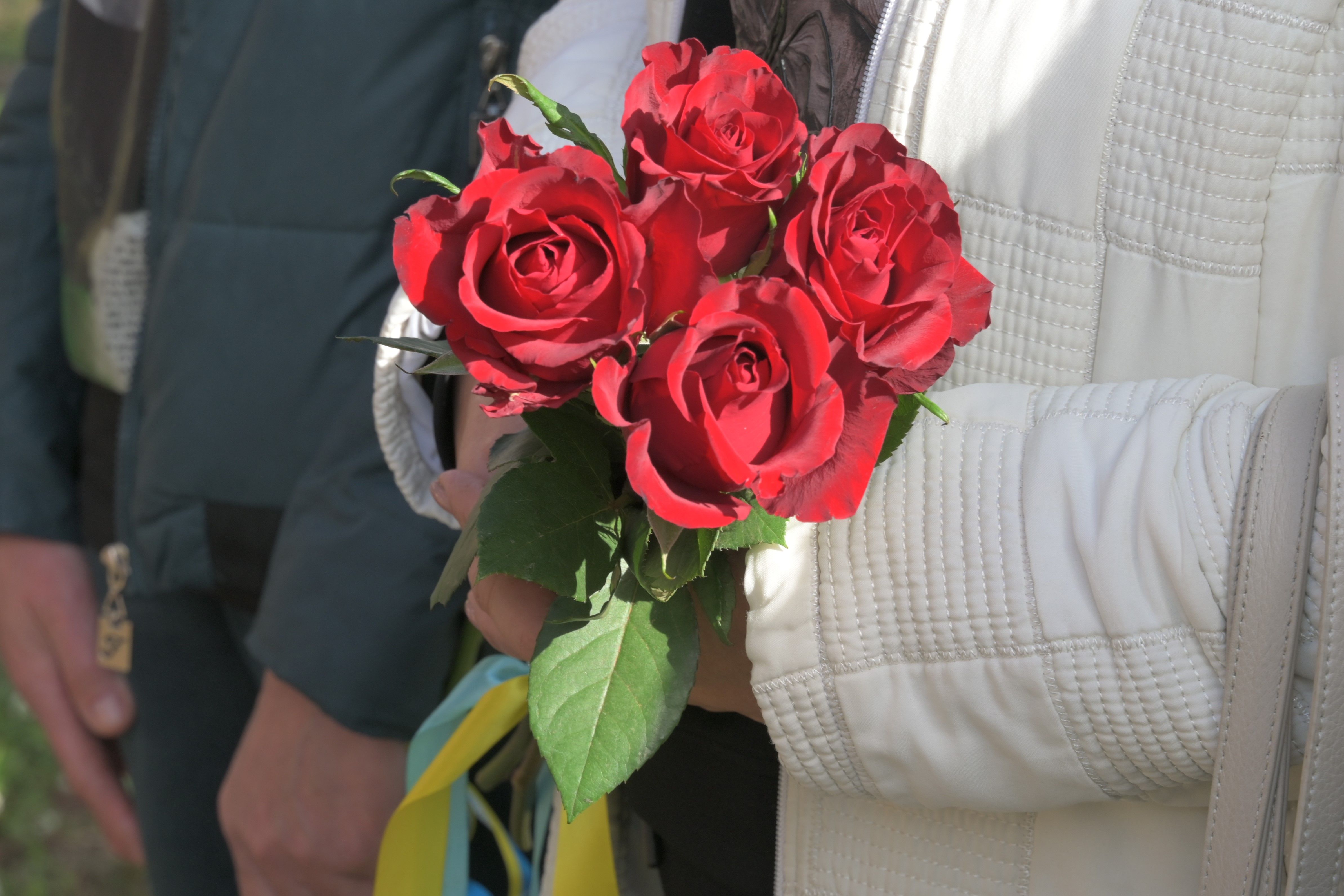 DSC_3675.JPG
