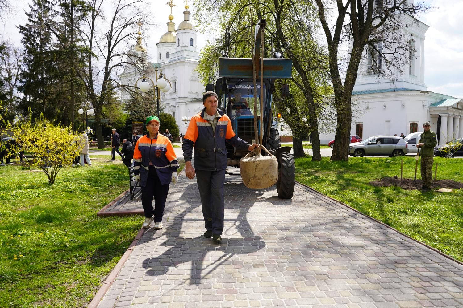 Полтавці долучилися до міжнародної екологічної акції "1 мільйон дерев пам’яті та життя"