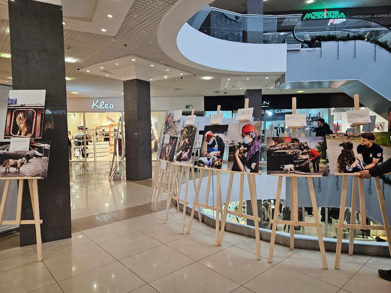 У Полтаві відкрили фотовиставку "Чотири лапи – тисячі історій"