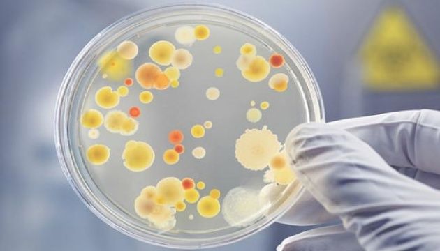 Ботулізм – симптоми, заходи попередження, ознаки та профілактика