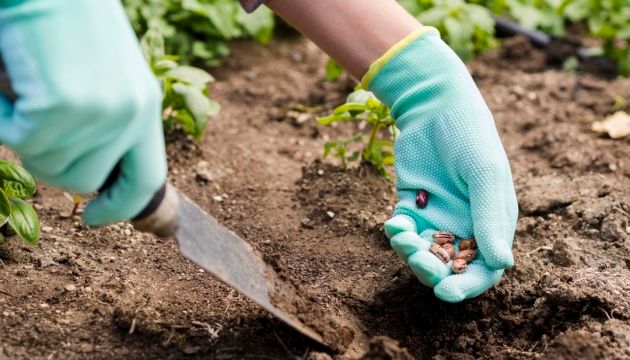 Держстат відновлює опитування сільських домогосподарств
