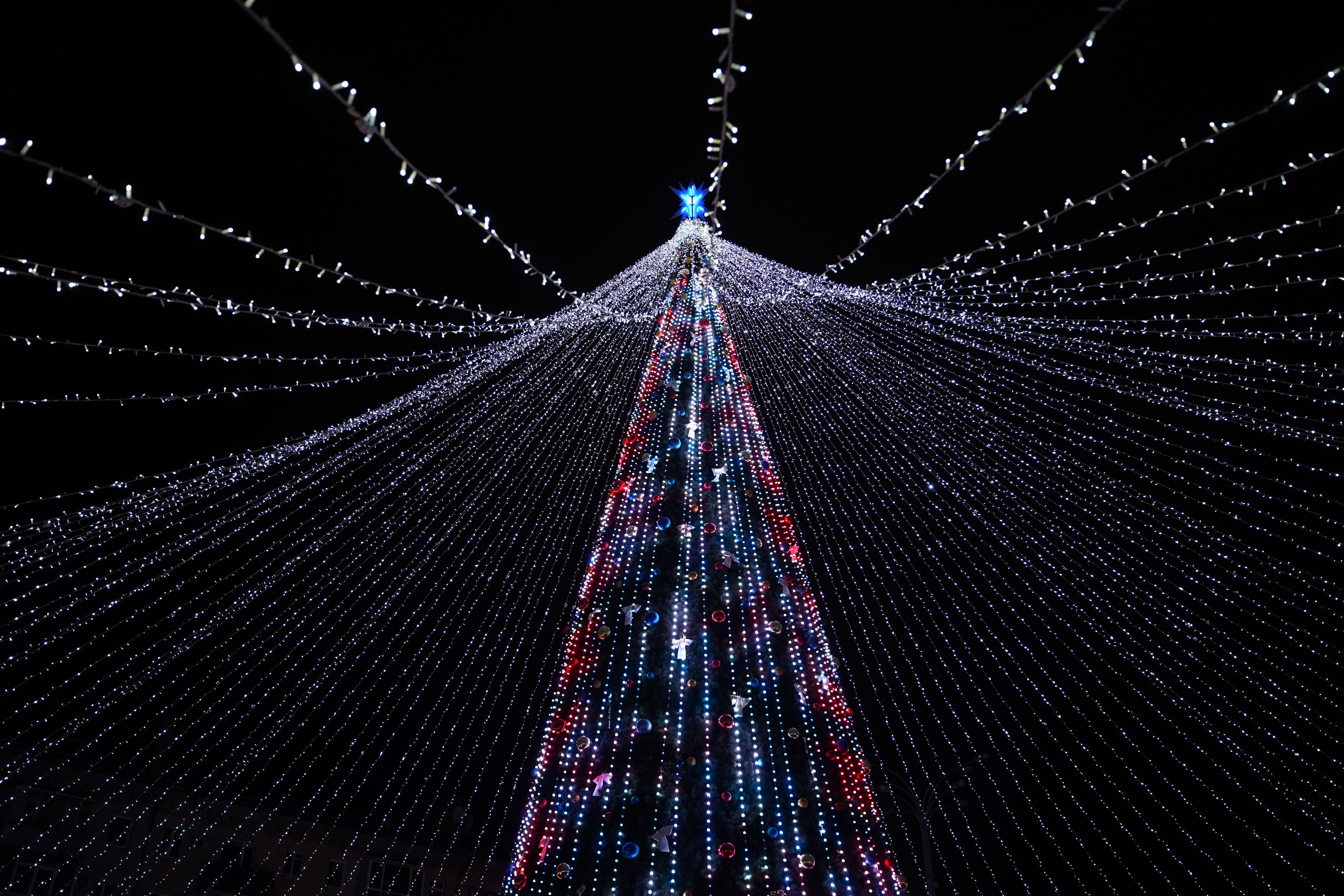 У Полтаві засвітили головну ялинку громади