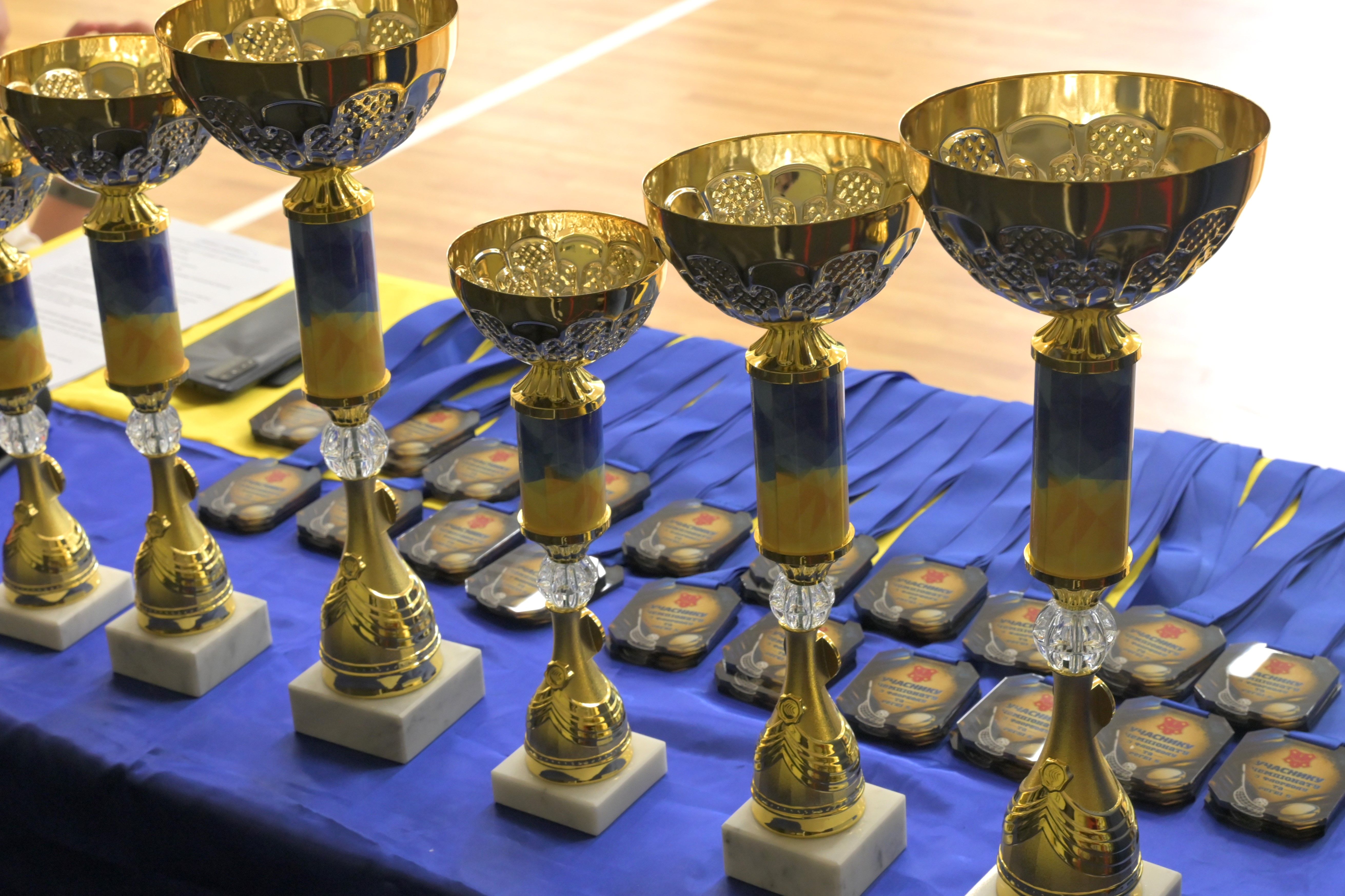 У Полтаві провели Чемпіонат з флорболу та регбі-5 серед дітей