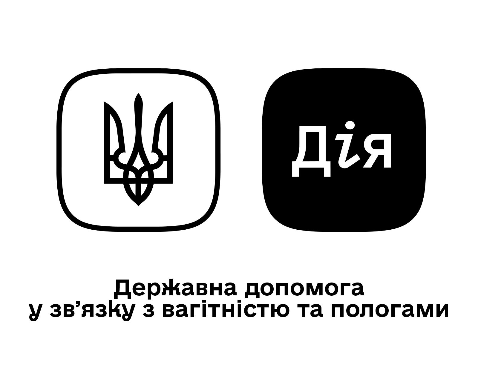 Державна допомога у звʼязку з вагітністю та пологами