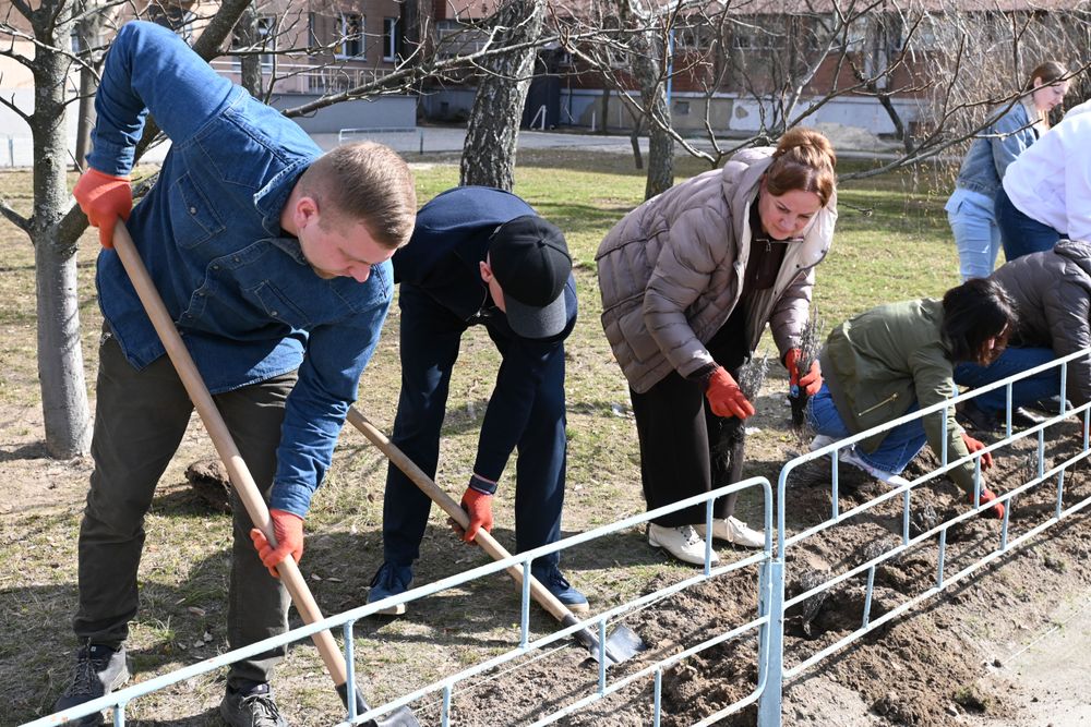 У Полтаві біля дитячої лікарні висадили алею лаванди