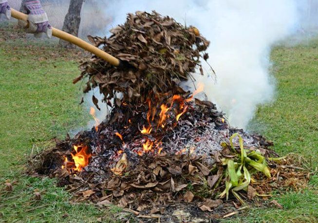 Полтавцям нагадують про заборону спалювання сухої трави та листя