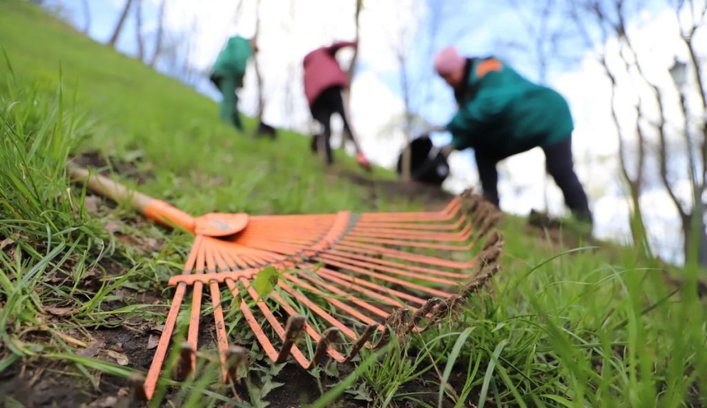 Полтавців запрошують долучитися до загальноміської толоки